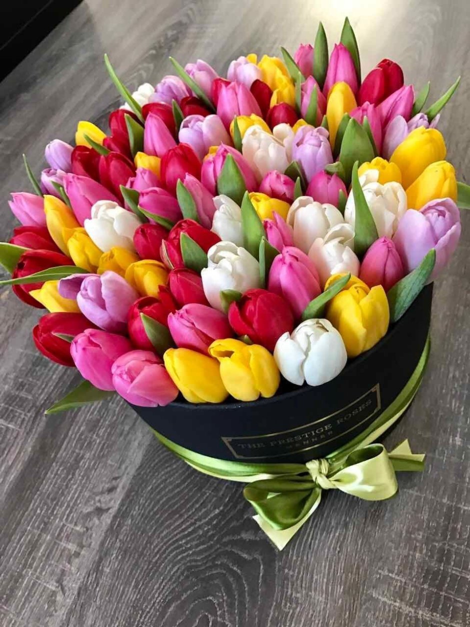 Красивые тюльпаны
