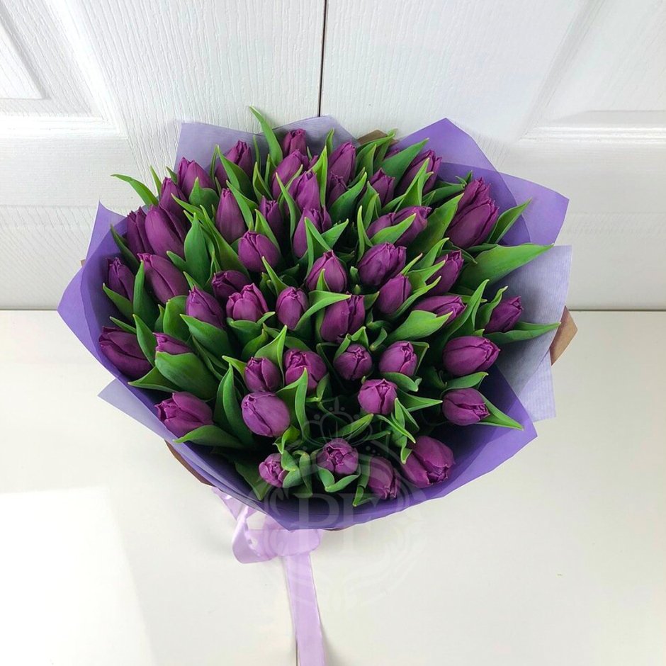 Фиолетовые тюльпаны 101 шт