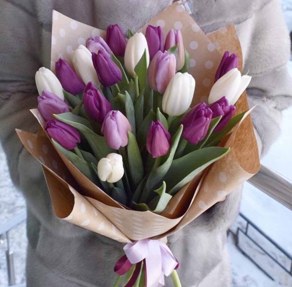 Белые и фиолетовые тюльпаны