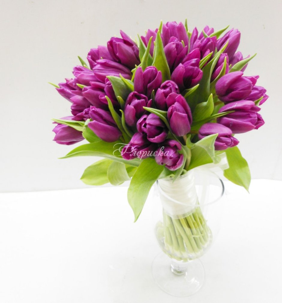 Тюльпан Purple Bouquet