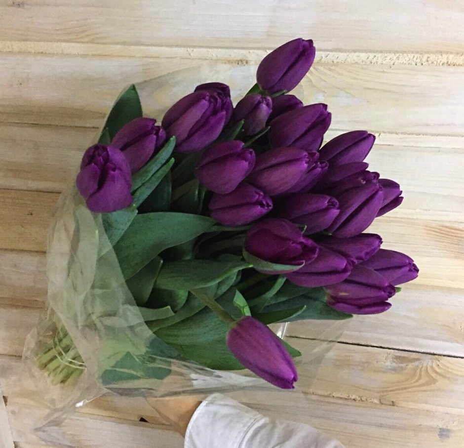 Атангулова Гульфия фиолетовые тюльпаны