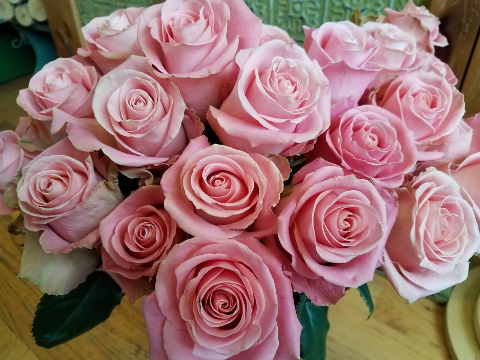 Большие розы hermosa