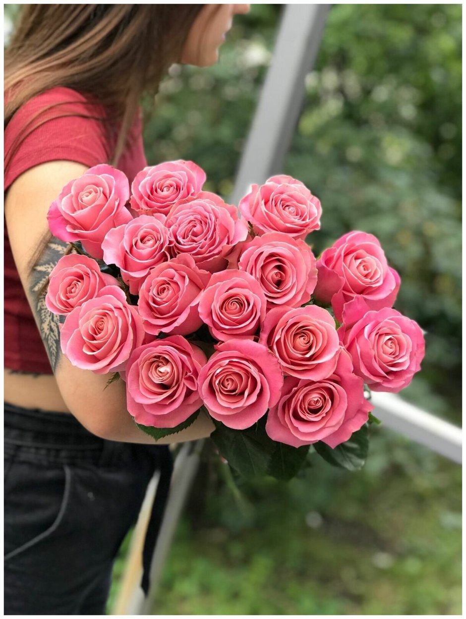 Роза сорт hermosa