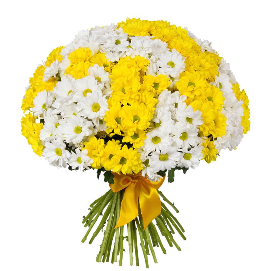 Букет "желто-белые хризантемы"