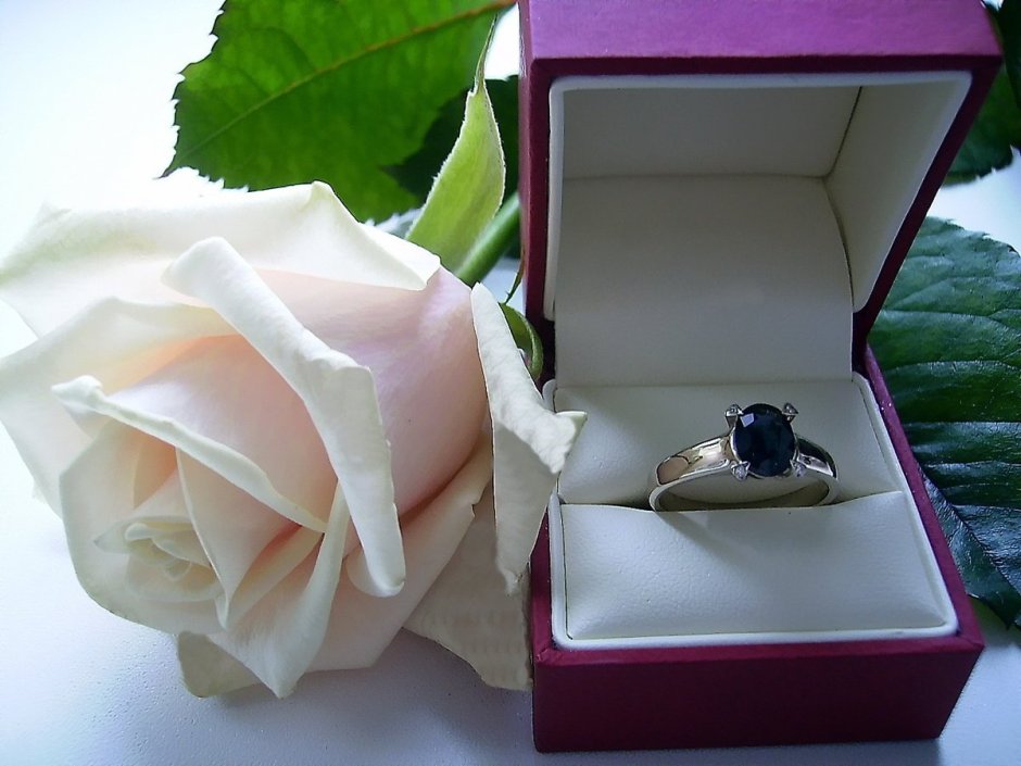 Розы и кольцо в коробочке