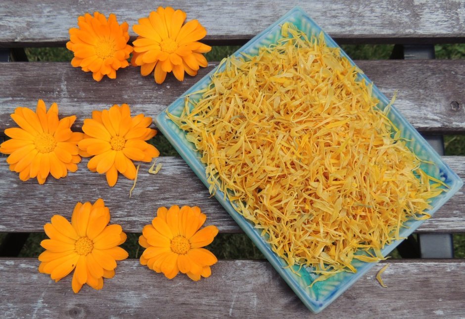 Calendula Herbs