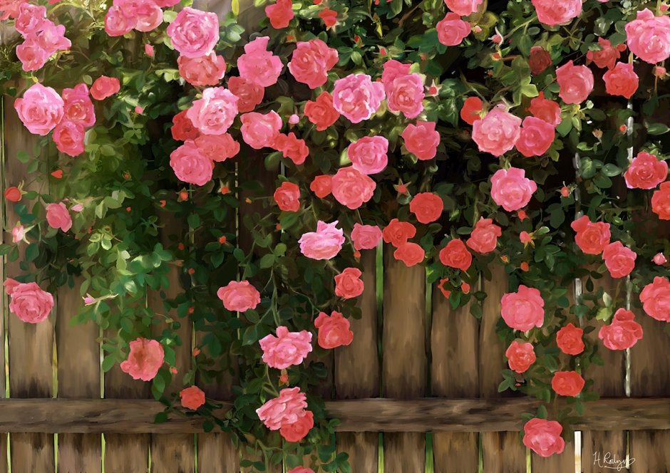 Роза плетистая мелкоцветковая красная