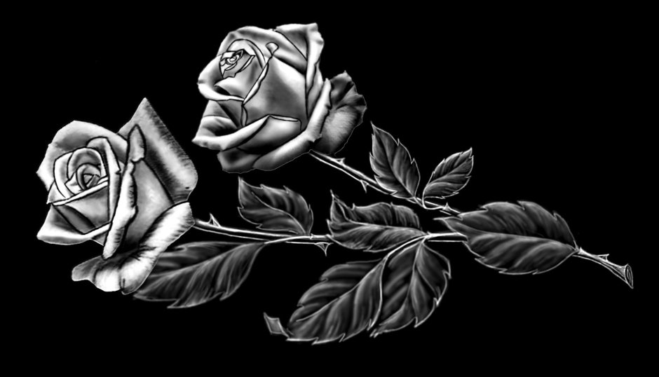 Розы для гравировки