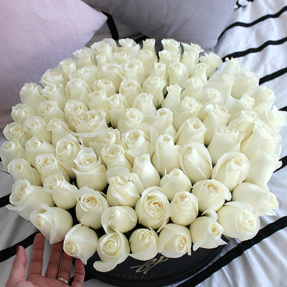 Шикарный букет белых роз для любимой