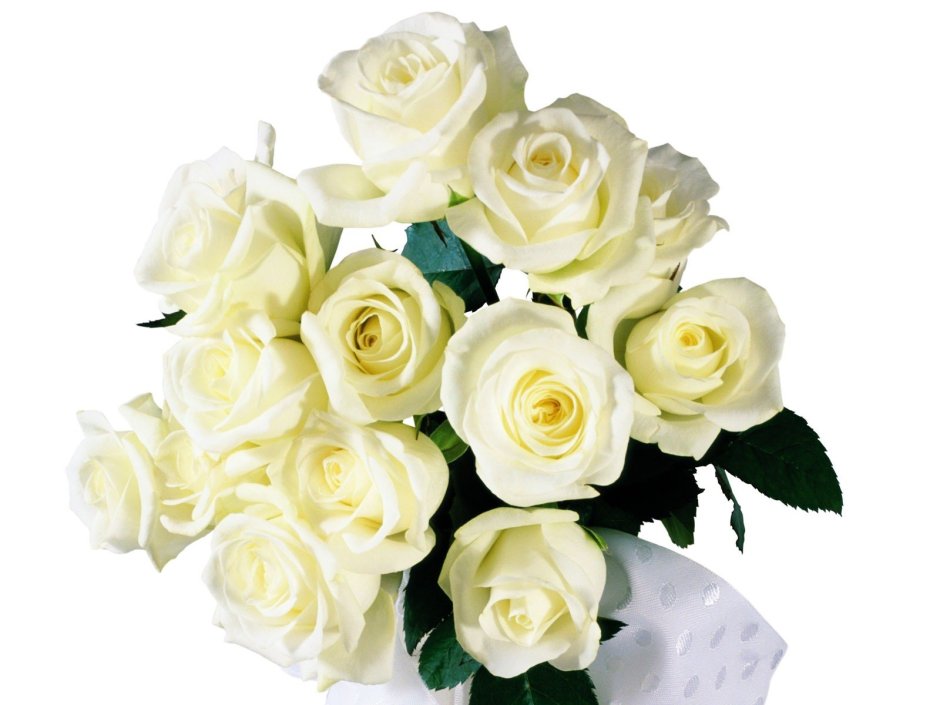 С днём рождения белые розы