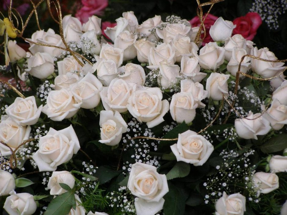 С днём рождения цветы белые розы