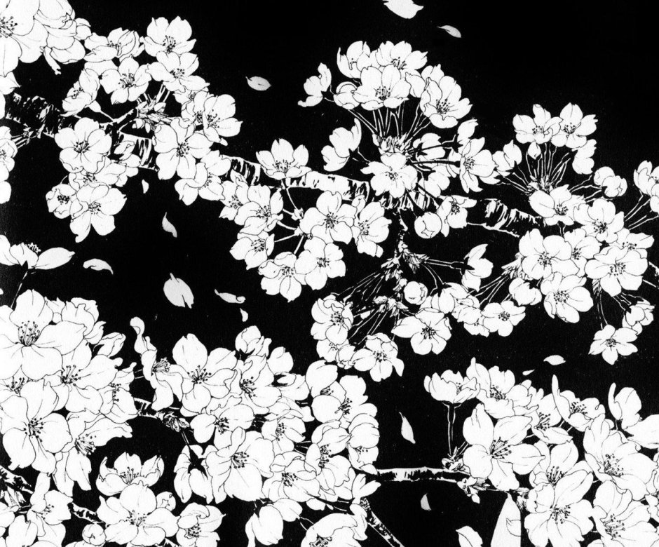 Цветы чёрно белые