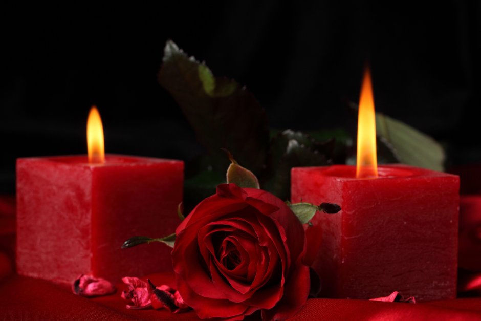 Траурные розы и свечи