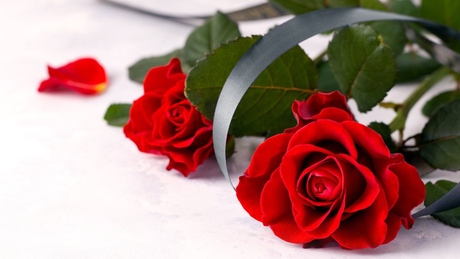 Две красные розы с черной лентой