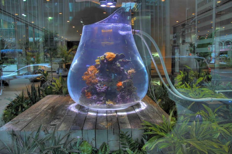 Sqwore аквариум