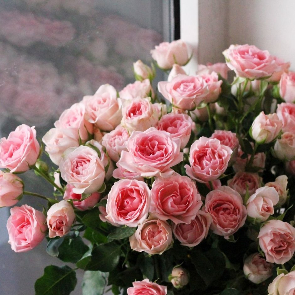 Роза мелкая розовая кустовая