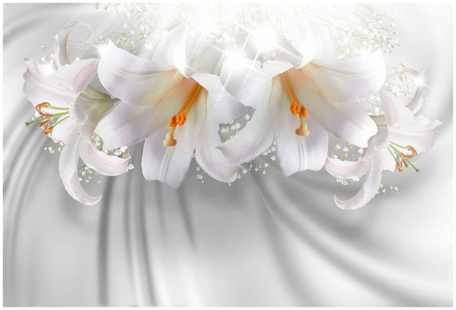 Фотообои белые лилии