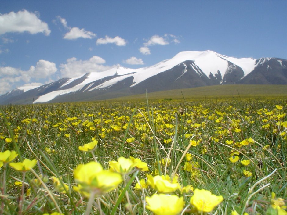 Горы юрта Монголия