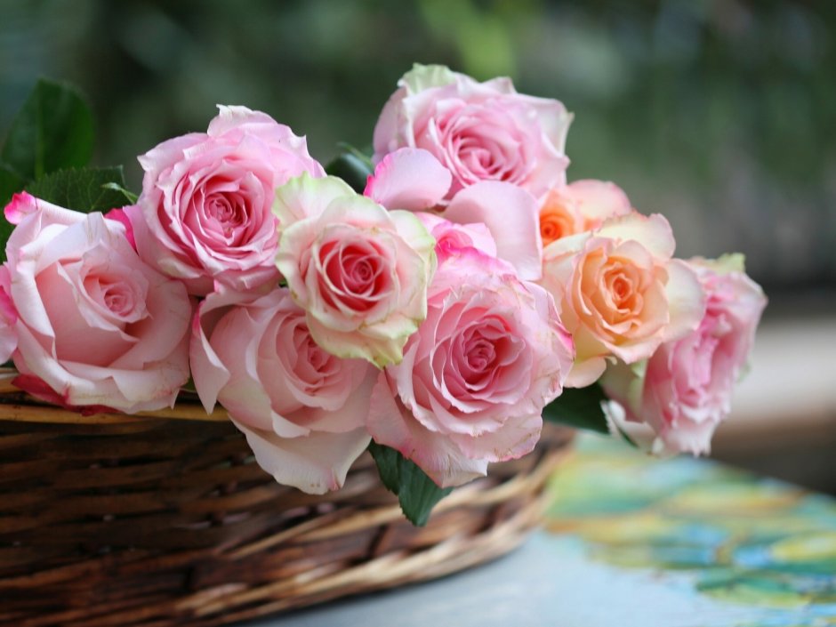 Розовые цветы нежность