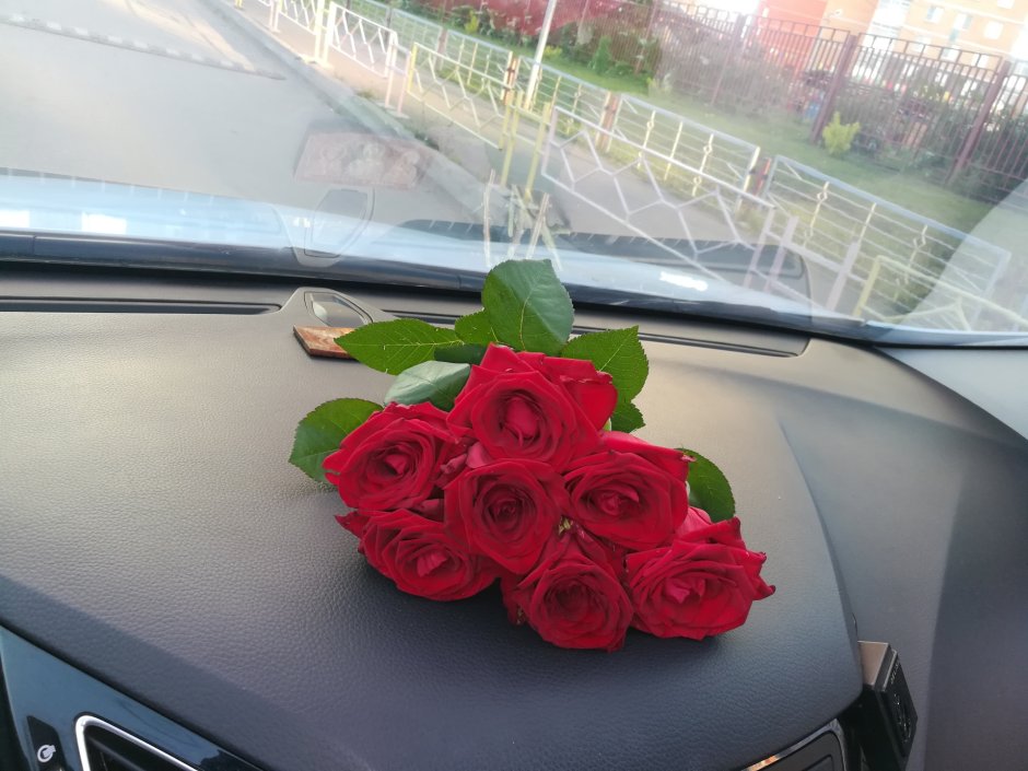 Розы в машине