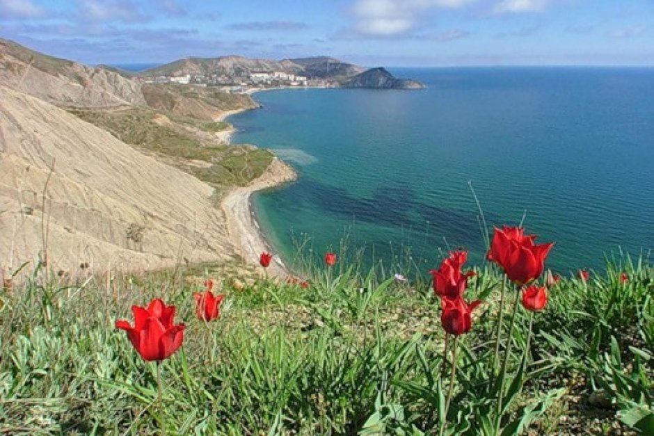 Растения Крыма ай Петри