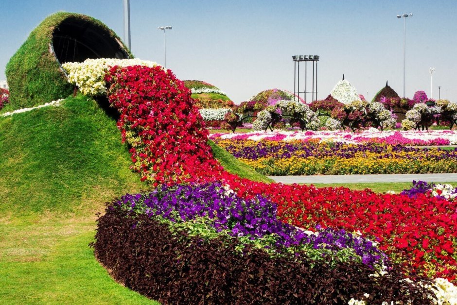 Цветочный сад в Дубае Миракл
