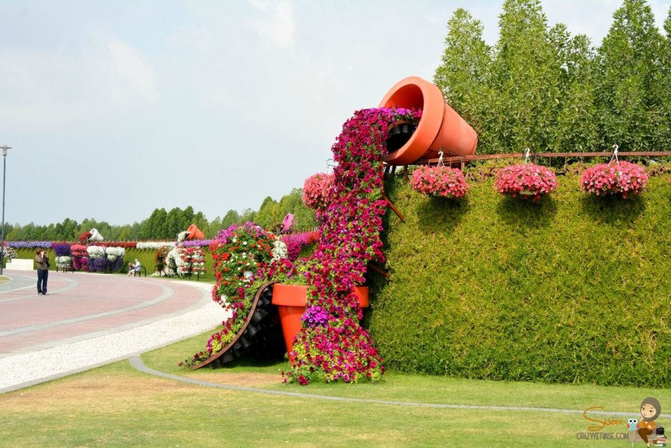 Сад чудес Дубай Цветочная инсталляция