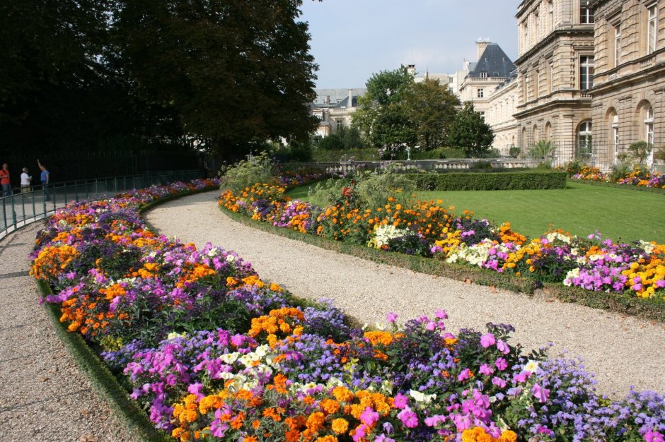 Сад Люксембург Париж клумбы