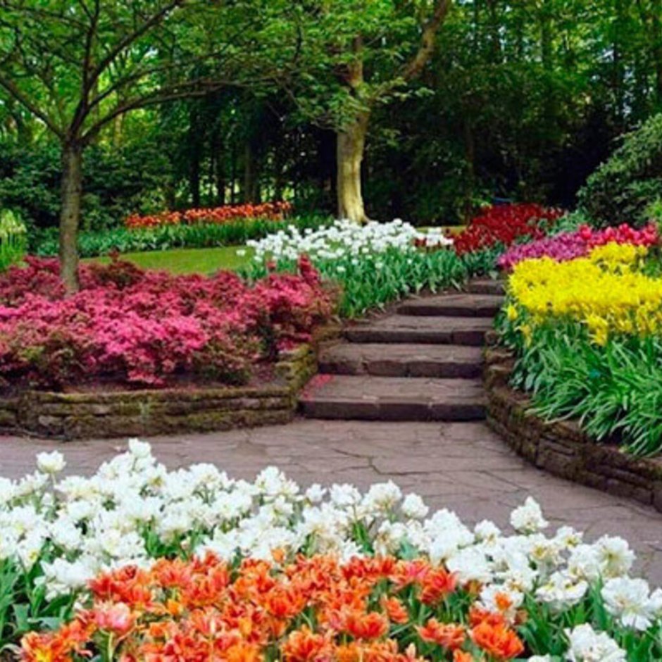 Парк с клумбой цветов