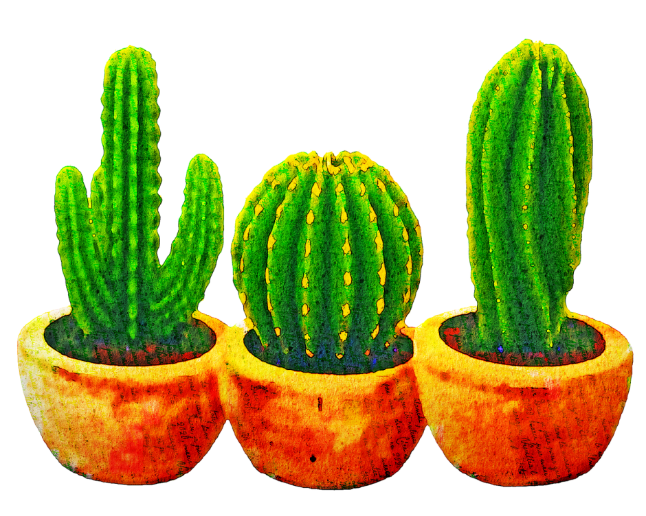Листоподобные кактусы