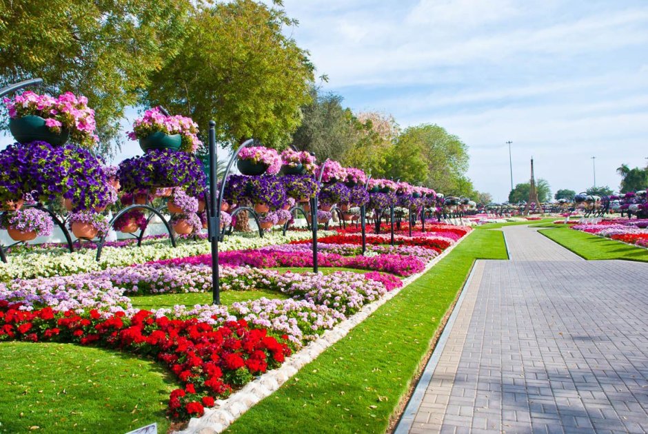 Парк цветов Аль Айн