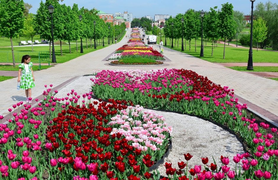 Парк Царицыно в Москве клумбы