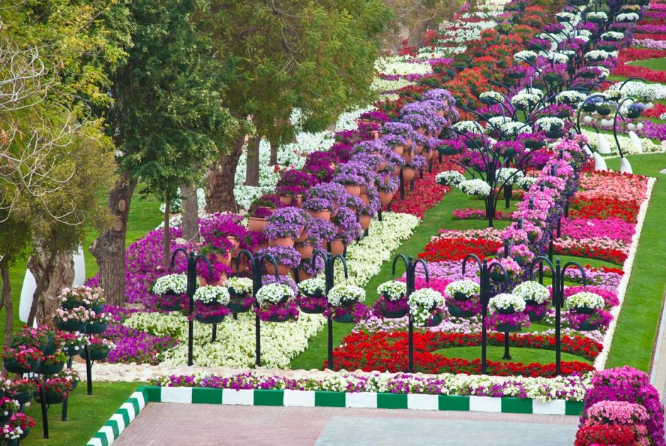 Парк цветов в Аль-Айне (г. Аль-Айн)