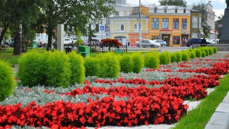 Вологда Цветущий город