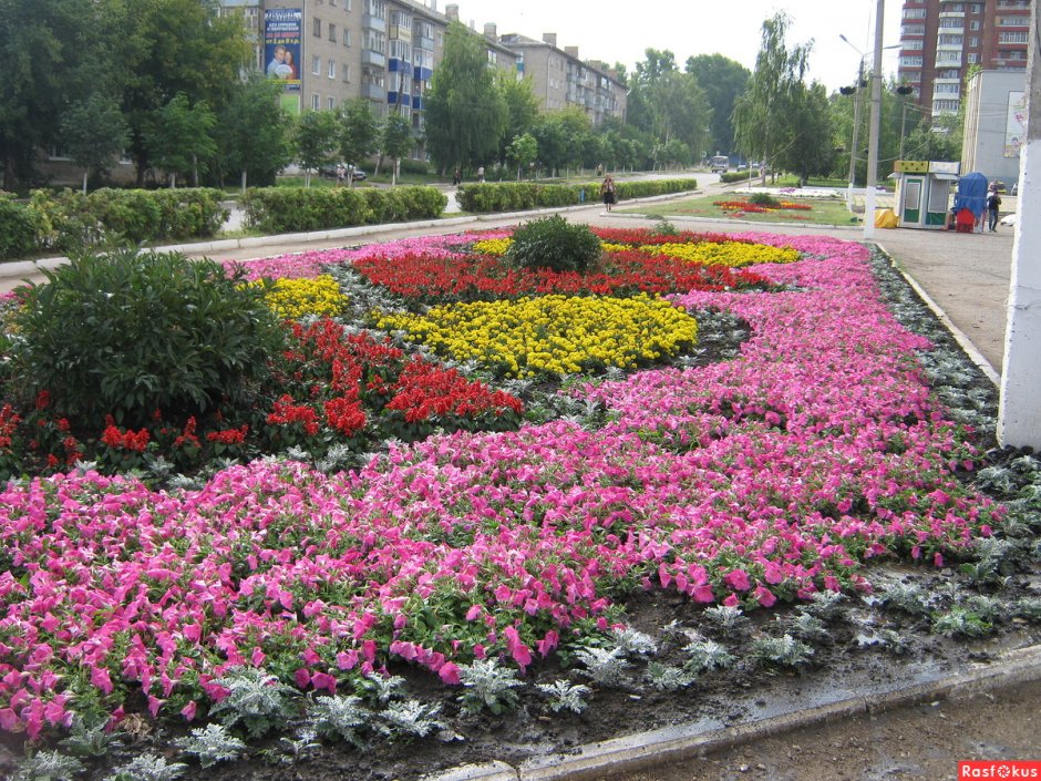 Весенний город цветы на клумбах
