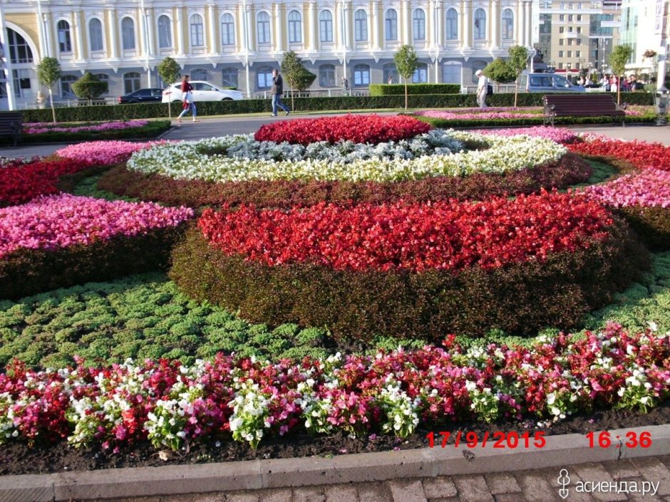 Цветник на площади Ленина Ставрополь