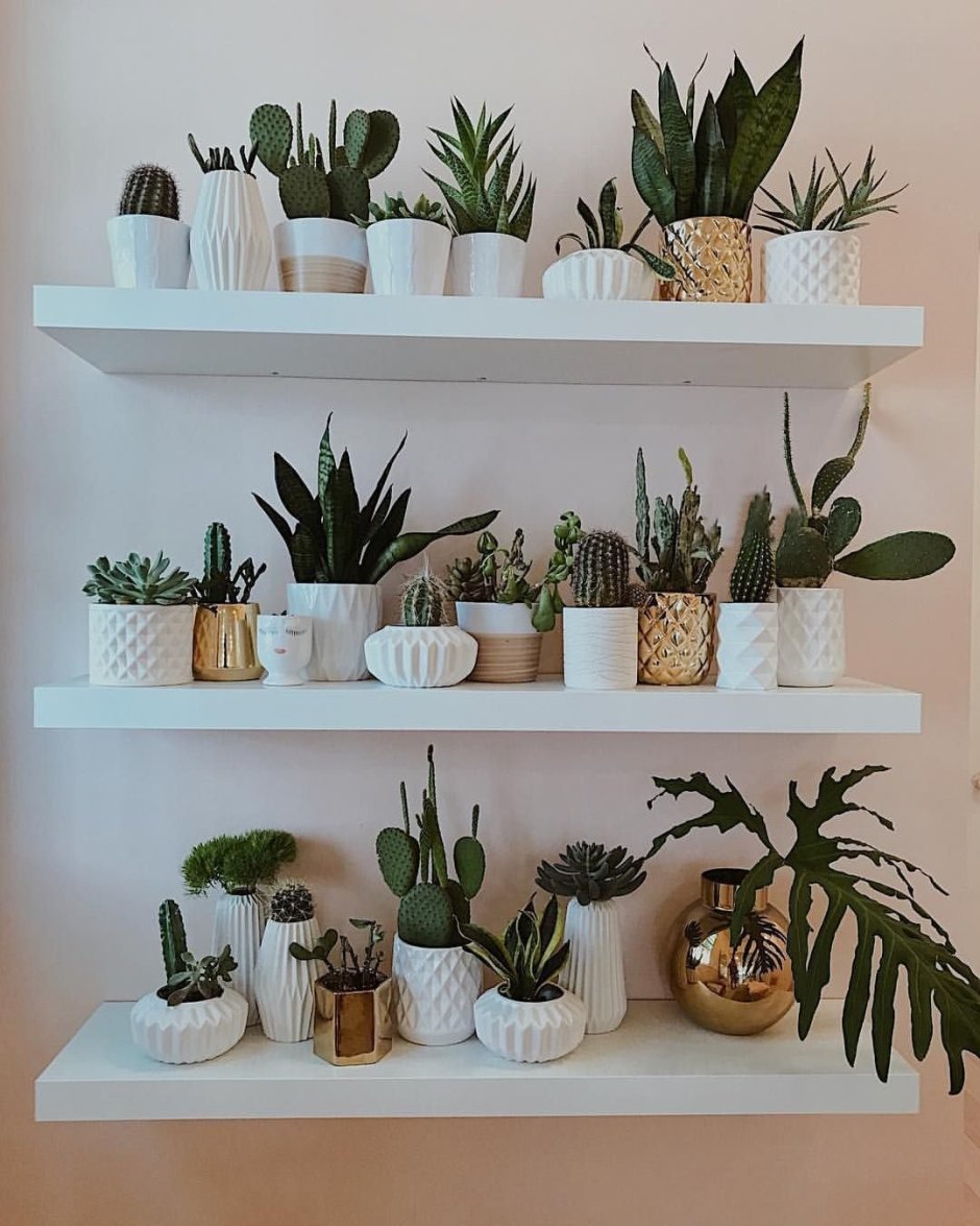 Полочки для растений на стену