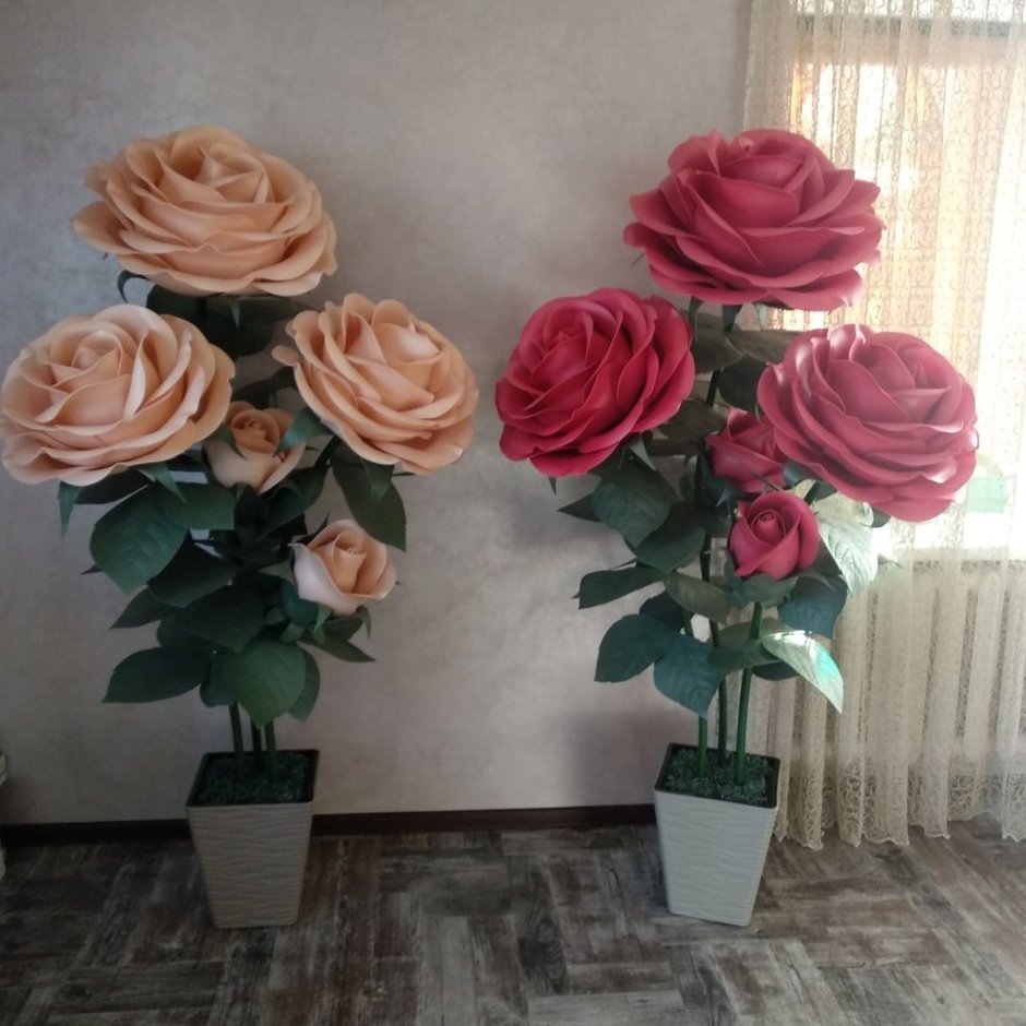 Огромные розы