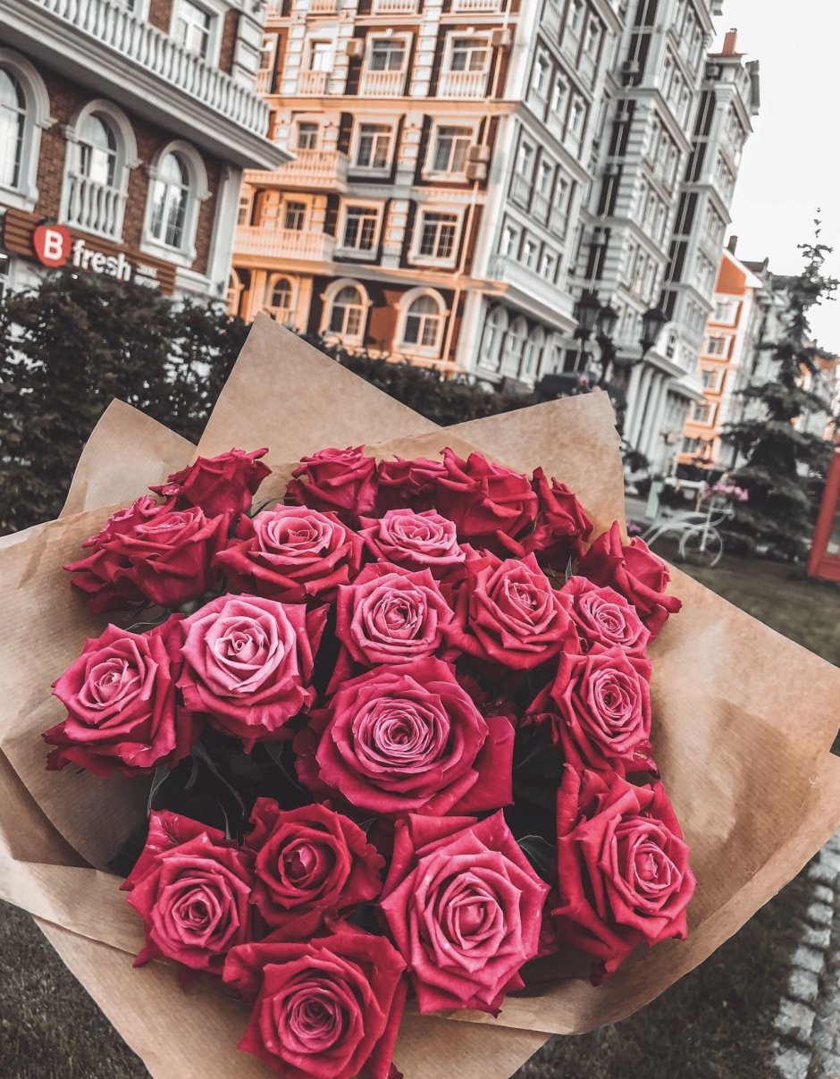 101 Голландская роза 100см Петербург
