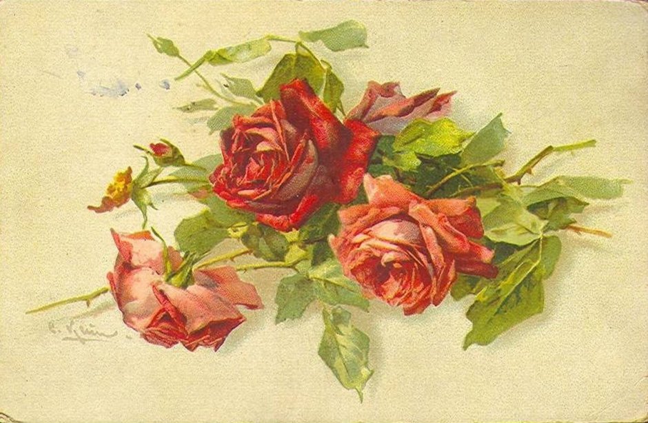 Катарина Кляйн открытки