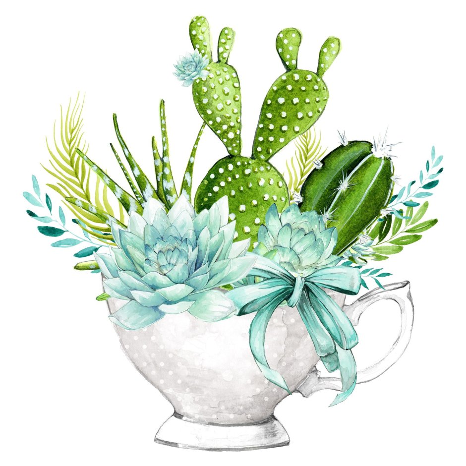 Кактус акварели succulent