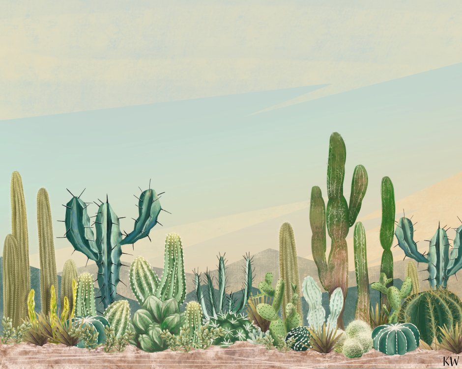 Мексика кактусы пустыня рисунок