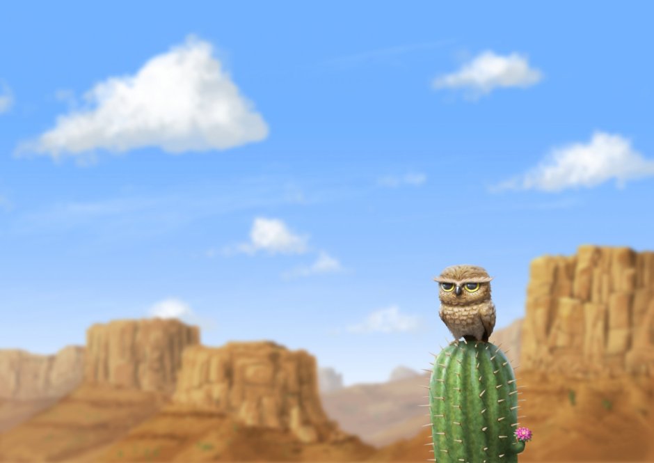 Одинокий Кактус в пустыне