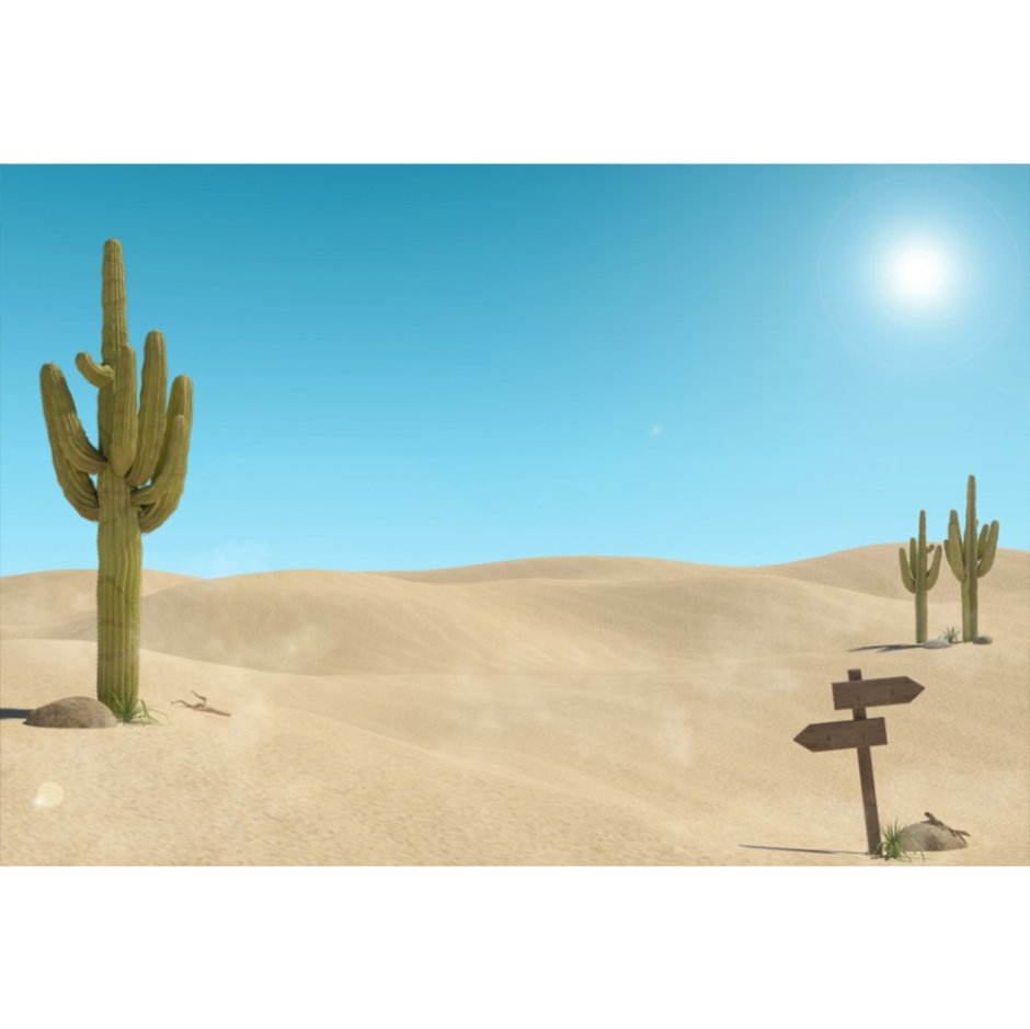 Фон пустыня с кактусами