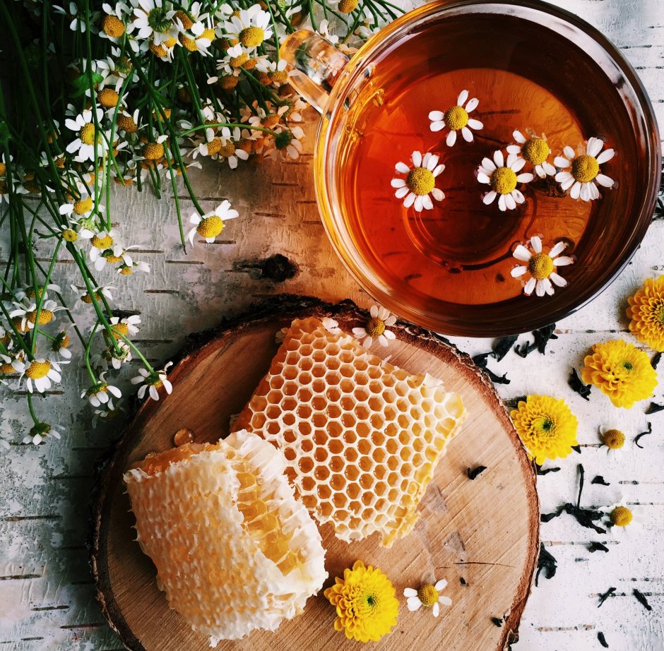 Цветы уличные пахнут медом