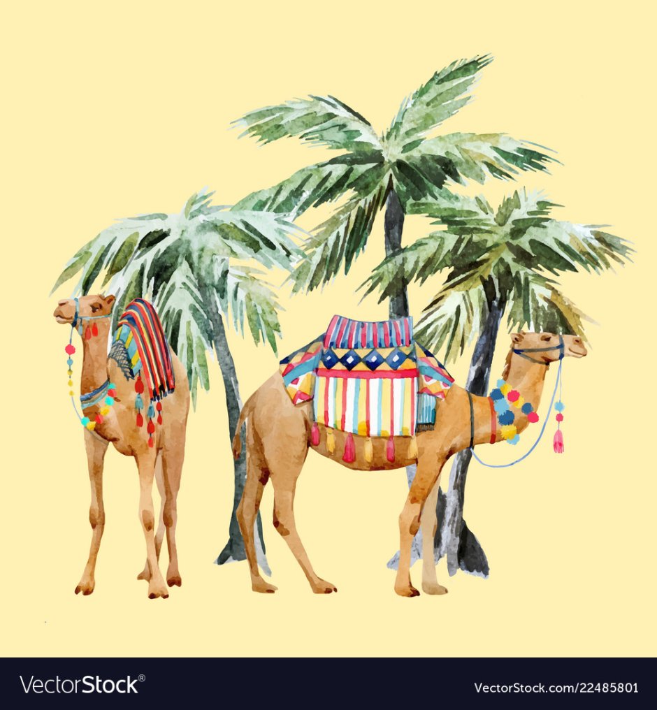 Пустыня с верблюдом и кактусом