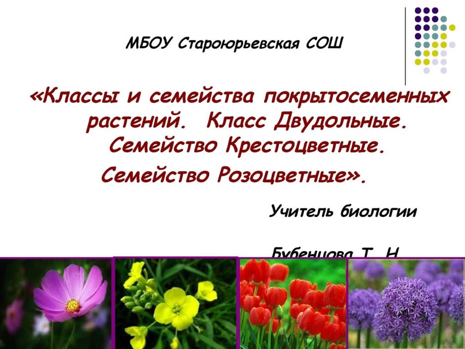 Однополые и обоеполые цветки однодомные и двудомные растения