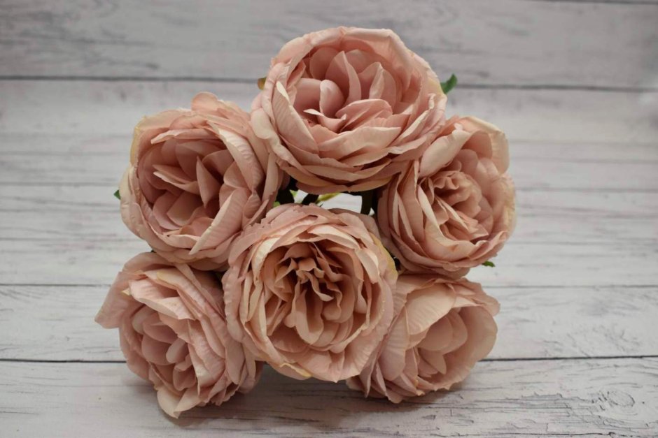 Роза пионовидная Effie