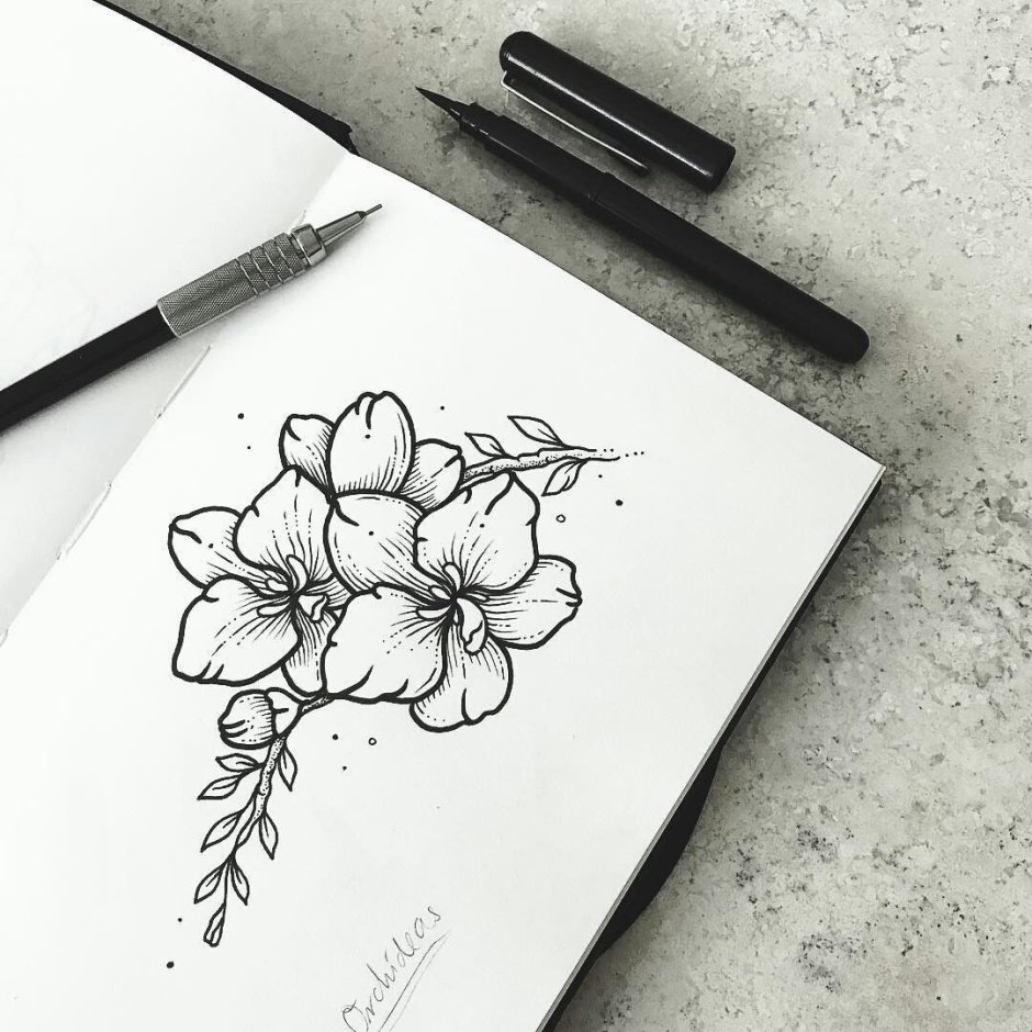 Цветы черной ручкой простые