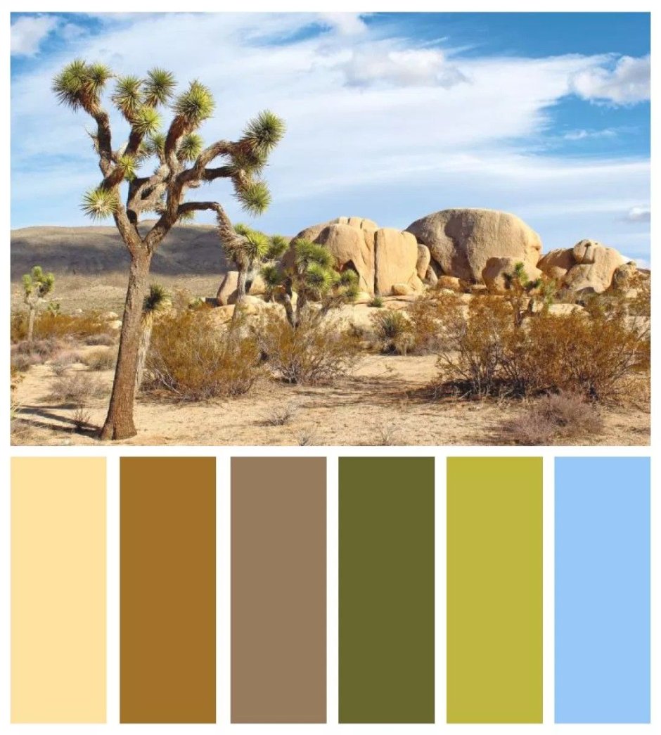 Цветовая гамма пустыня